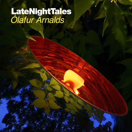 LNT_Jungle_Type.eps