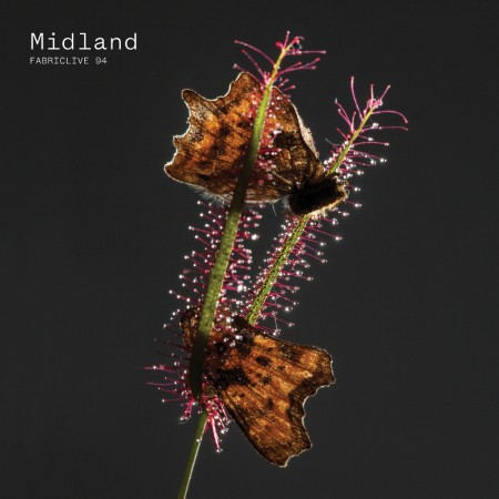 midland-fabriclive